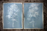 Laura Roebuck Cloud Oak