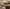 Costa Nova Cheese Knives S/3 - Brushed