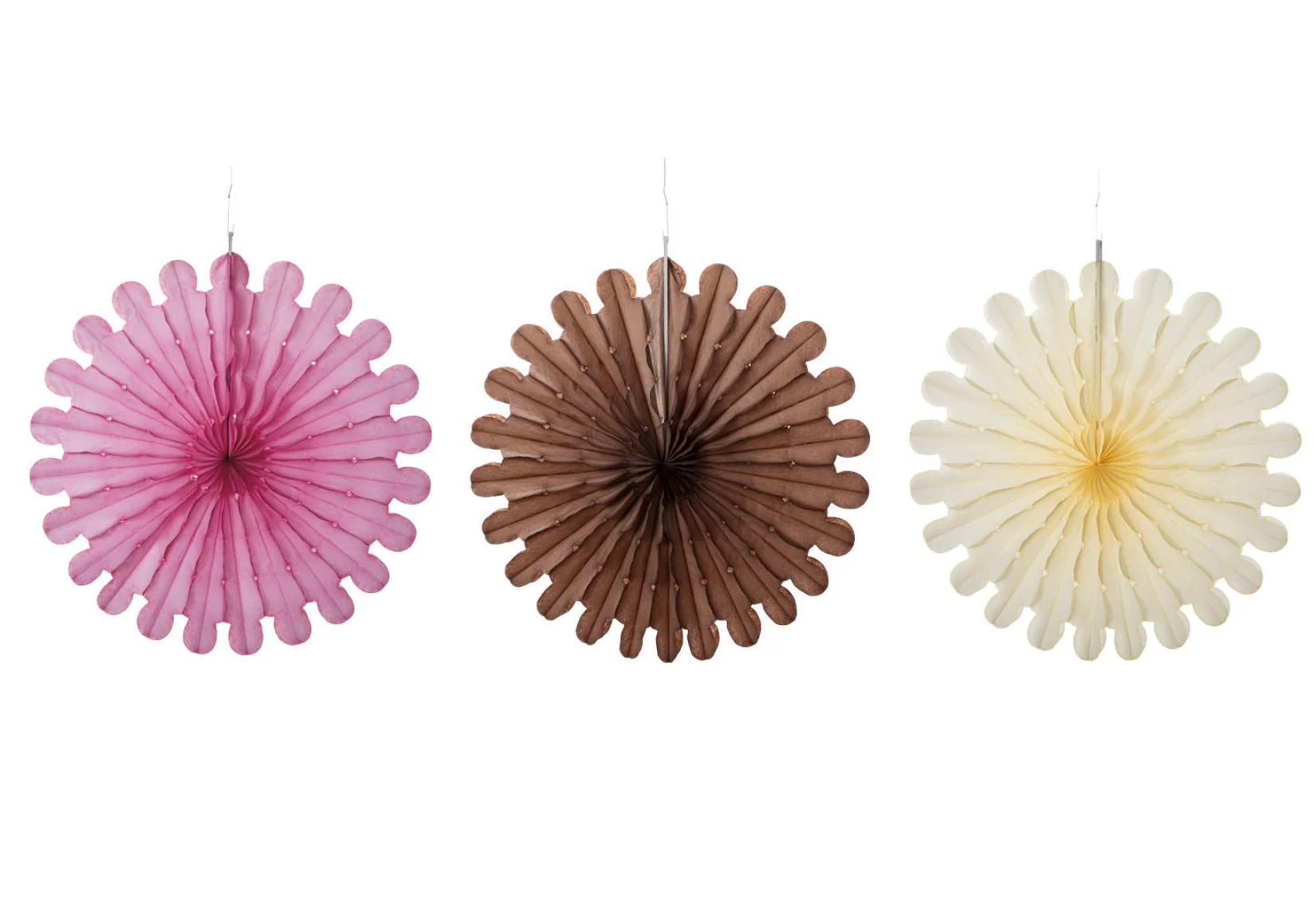 Hester & Cook Honeycomb Paper - Celebration Fan