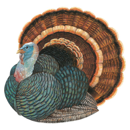 Hester & Cook Die-Cut Heritage Turkey Placemats