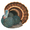 Hester & Cook Die-Cut Heritage Turkey Placemats