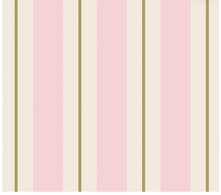 Hester & Cook Pink & Gold Awning Stripe Cocktail Napkins