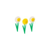 Hester & Cook Honeycomb Paper - Small Daffodils