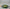 Casafina Fontana Dinner Plate - Forest Green