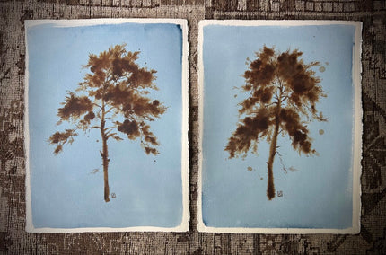Laura Roebuck Umber Pine