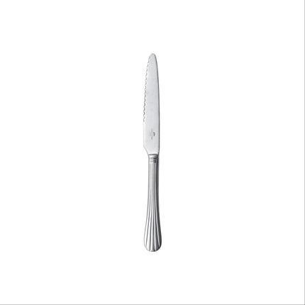 Costa Nova Duoro Steak Knife - Brushed