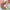 Hester & Cook Holiday Wreath Paper Guest Napkins