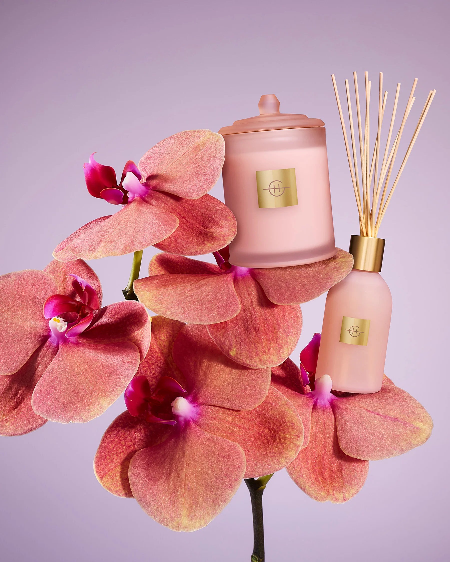 Glasshouse Radiance in Bloom Diffuser