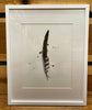 Laura Roebuck Large Feathers (White Frame)