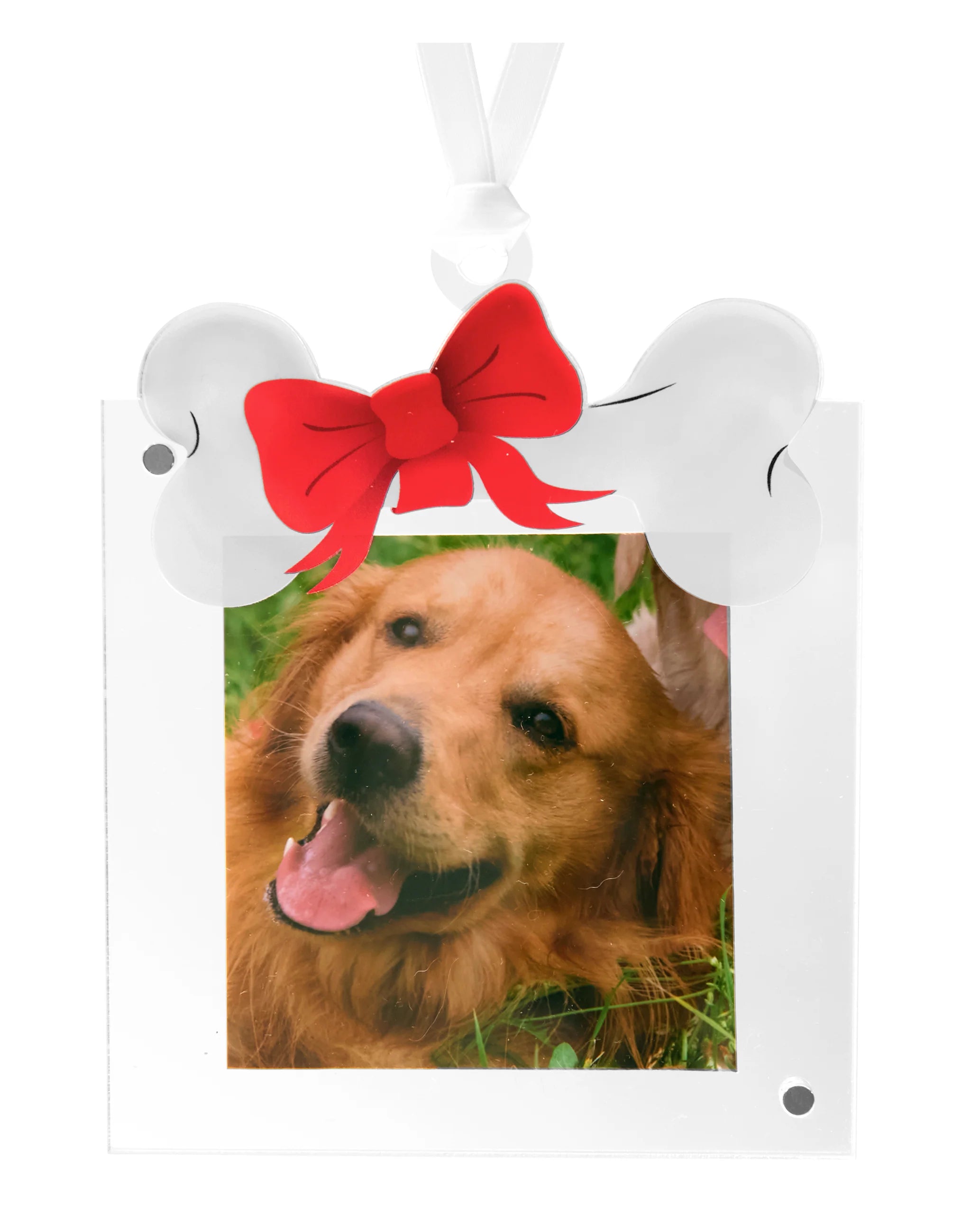 Tara Wilson Dog Bone Ornament