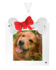 Tara Wilson Dog Bone Ornament