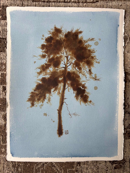 Laura Roebuck Umber Pine