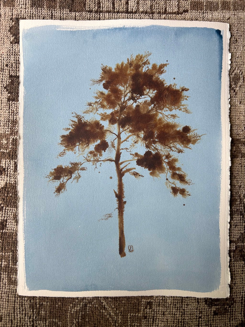 Laura Roebuck Umber Pine