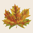 Hester & Cook Fall Foliage Cocktail Napkins