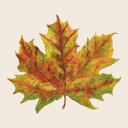 Hester & Cook Fall Foliage Cocktail Napkins