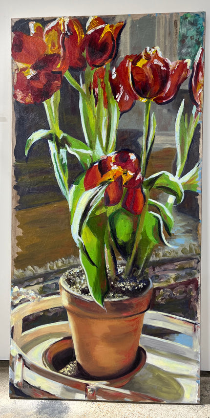 Jane Newman Blooming Bulbs