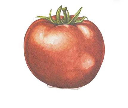 Hester & Cook Tomato Place Cards
