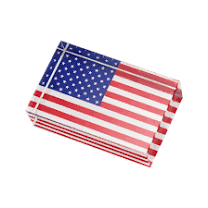 Tara Wilson Napkin Holder Weight -  American Flag