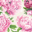 Hester & Cook Peony Paper Cocktail Napkins