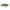 Addison Ross 11x8 Two Tone Scalloped Tray