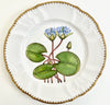 Waterlily Salad Plate by Anna Weatherley