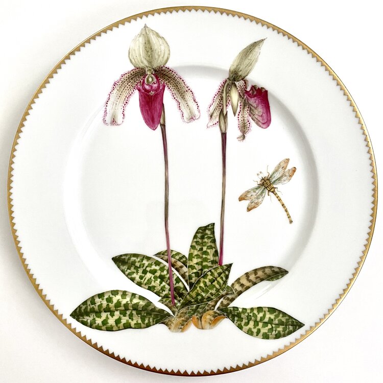 Orchid #3 Dinner Plate by Anna Weatherley