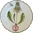 Flowers of Yesterday Dinner Plate by Anna Weatherley