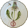 Flowers of Yesterday Dinner Plate by Anna Weatherley